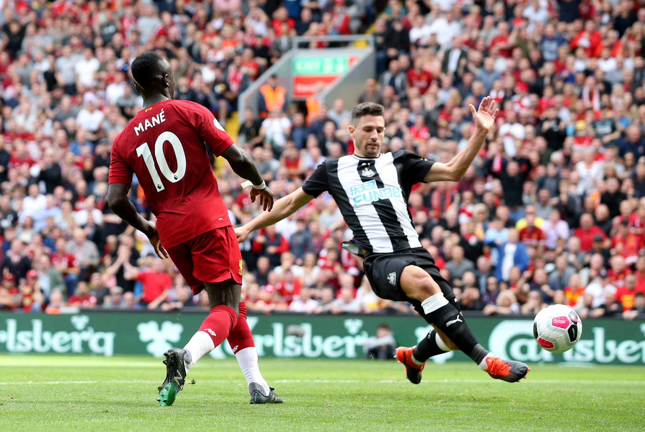 熟的年轻球 熟的年轻球